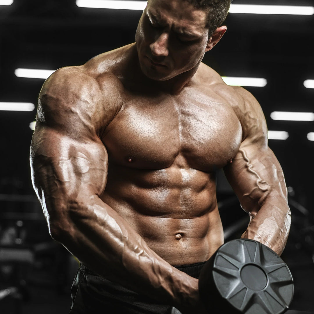 Build Muscle